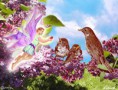/album/photogallery/fairyfriend-jpg/